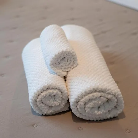 Da Violeta-comodo Bilocale Completo Di Tutto Trieste