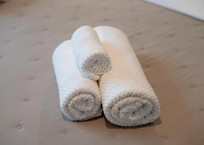 Da Violeta-comodo Bilocale Completo Di Tutto Trieste